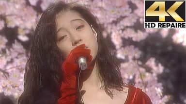中森明菜】踊り子舞女2005年演唱会