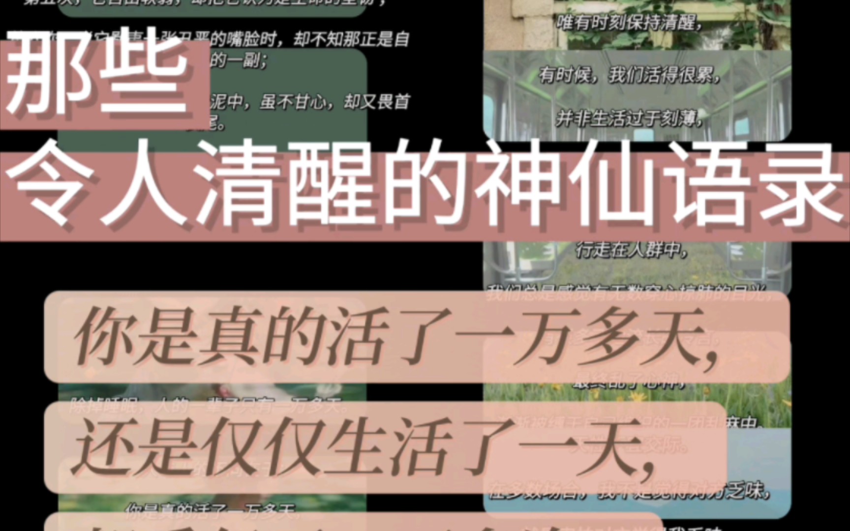 〖摘抄〗| 那些令人清醒的神仙语录𐟌𑩙䦎‰睡眠,人的一辈子只有一万多天. 人与人的不同在于:你是真的活了一万多天,还是仅仅生活了一天,却重复了...