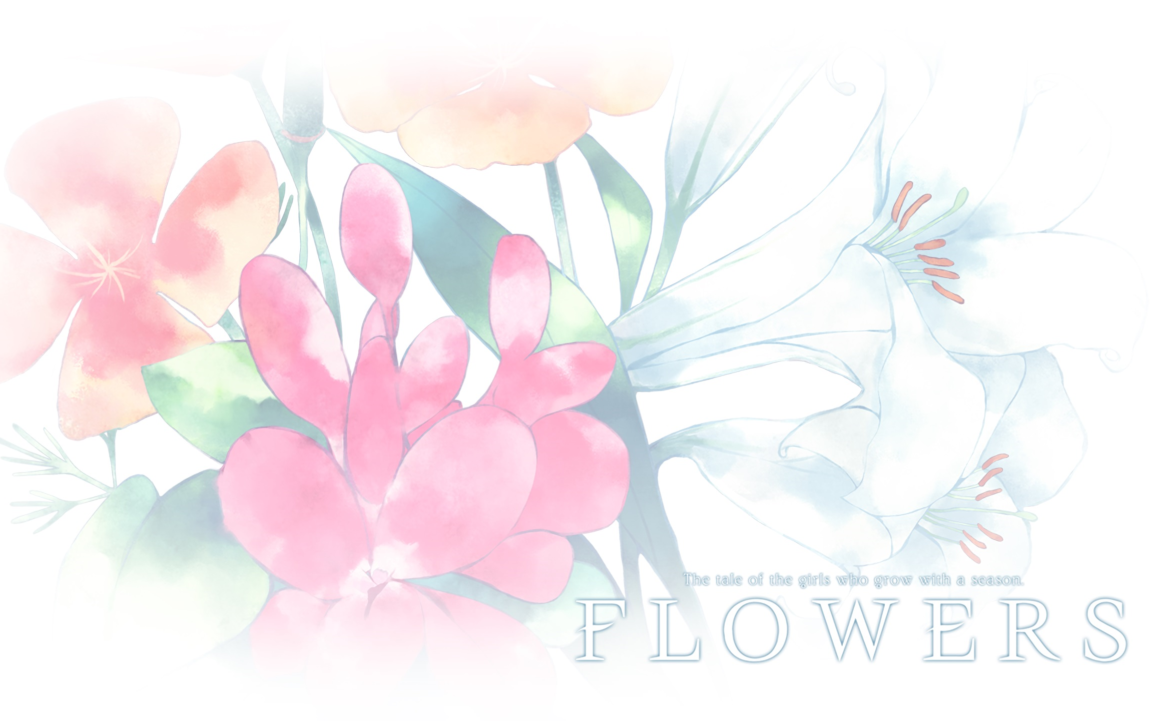 [图]【扒谱】FLOWERS春篇 - アングレカム