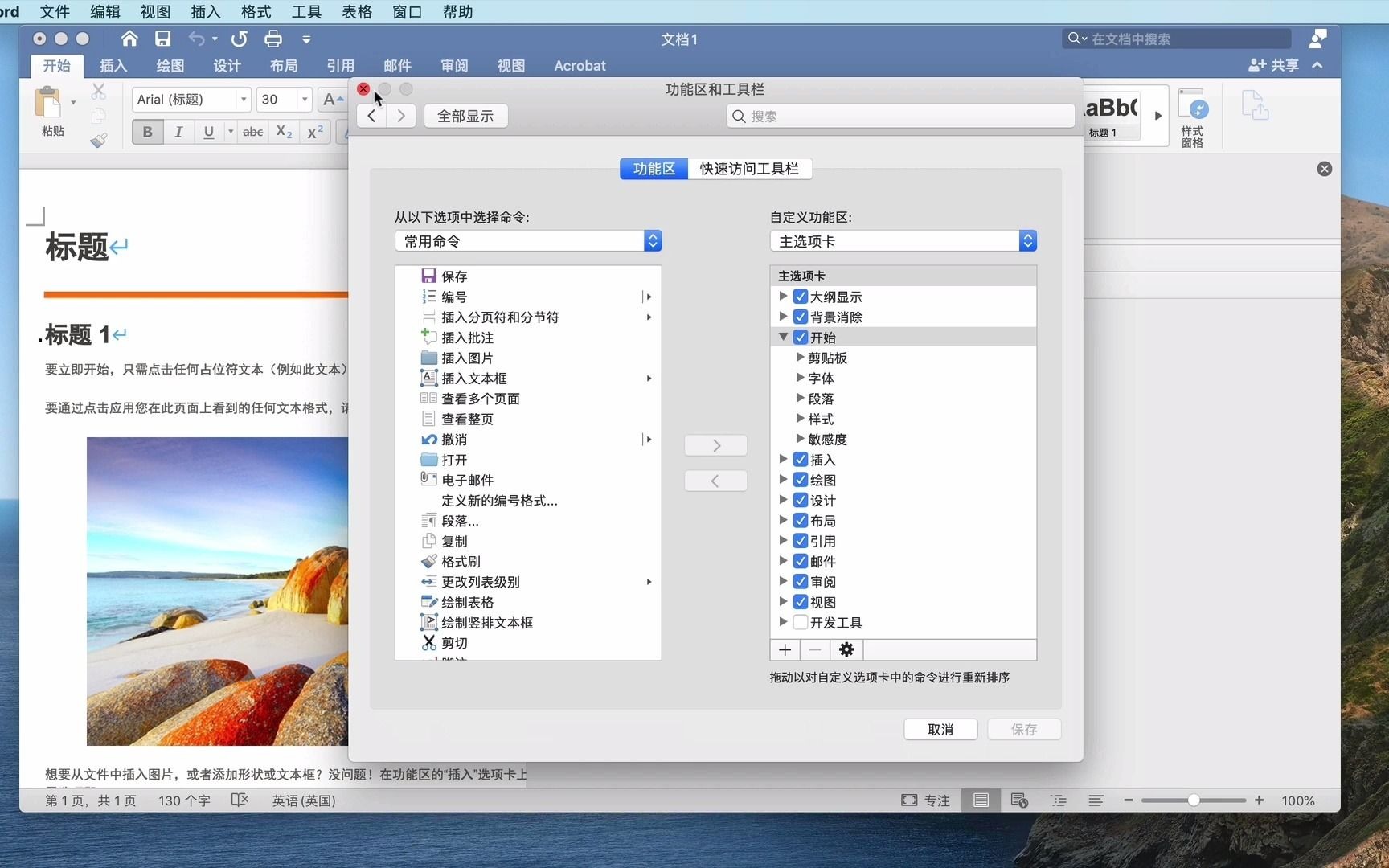 Word 2021 for Mac(office办公软件) v16.51预览版哔哩哔哩bilibili