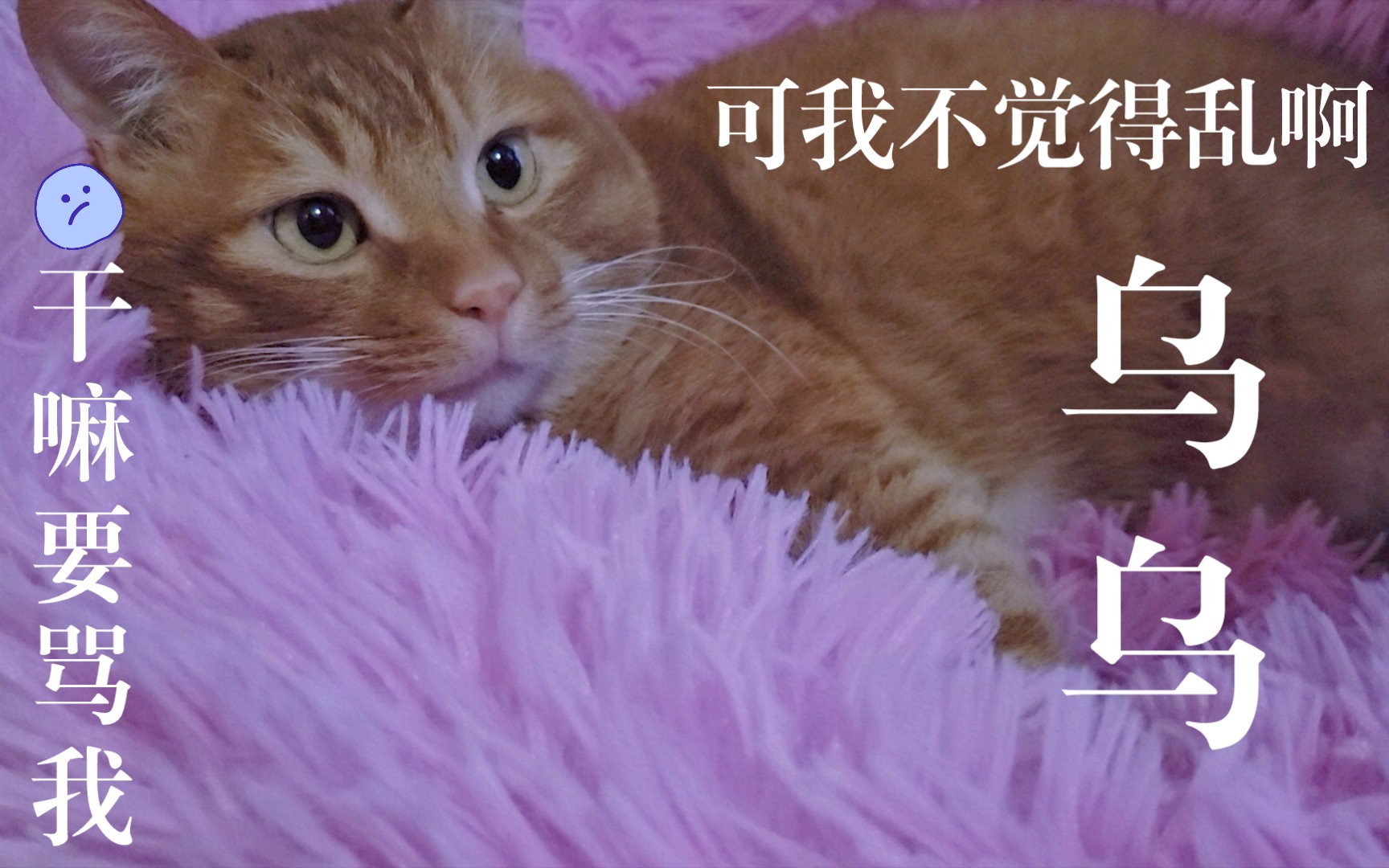 放假在家赖床不起被做家务的妈咪痛骂之妈咪视角