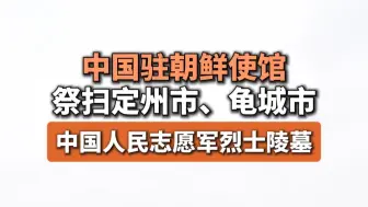 中国驻朝鲜使馆祭扫定州市、龟城市中国人民志愿军烈士陵墓