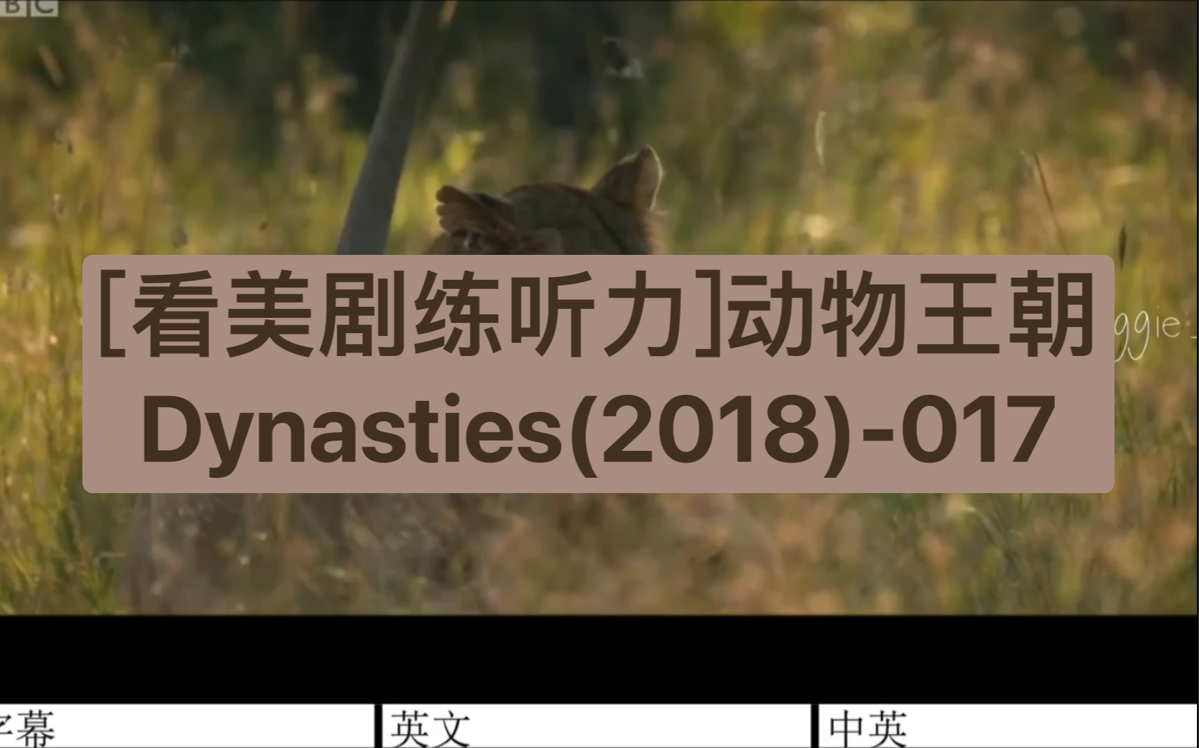 [图][看美剧练听力]动物王朝Dynasties(2018)-017