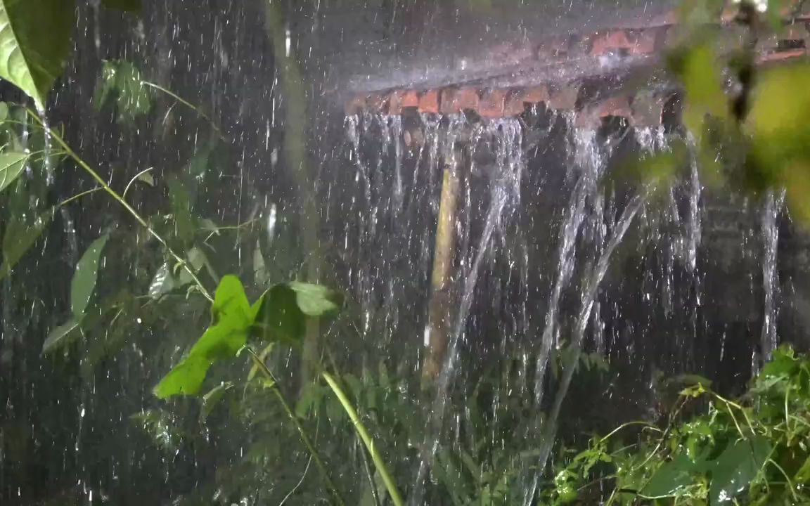 强烈季风雨和瓷砖屋顶上的巨大雷声| 8小时暴雨声让人入睡、放松、专注哔哩哔哩bilibili