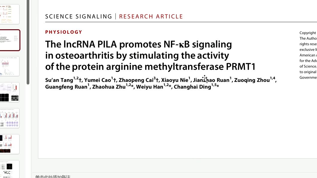 The lncRNA PILA>PRMT1>DHX9> NF signaling in osteoarthritis哔哩哔哩bilibili