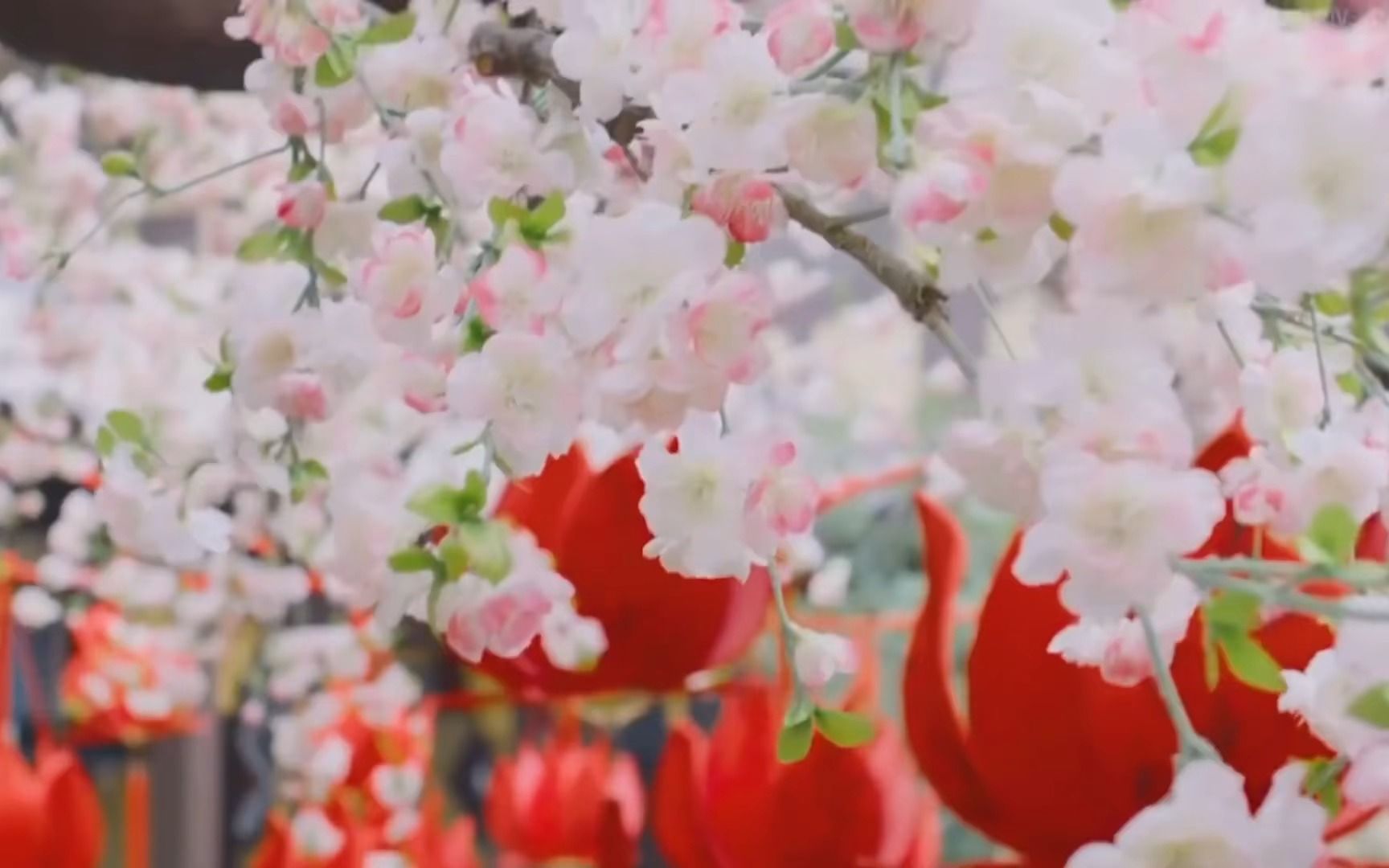 [图]《清音菩提》完整版！静心听曲，感受内心深处那份静谧.....