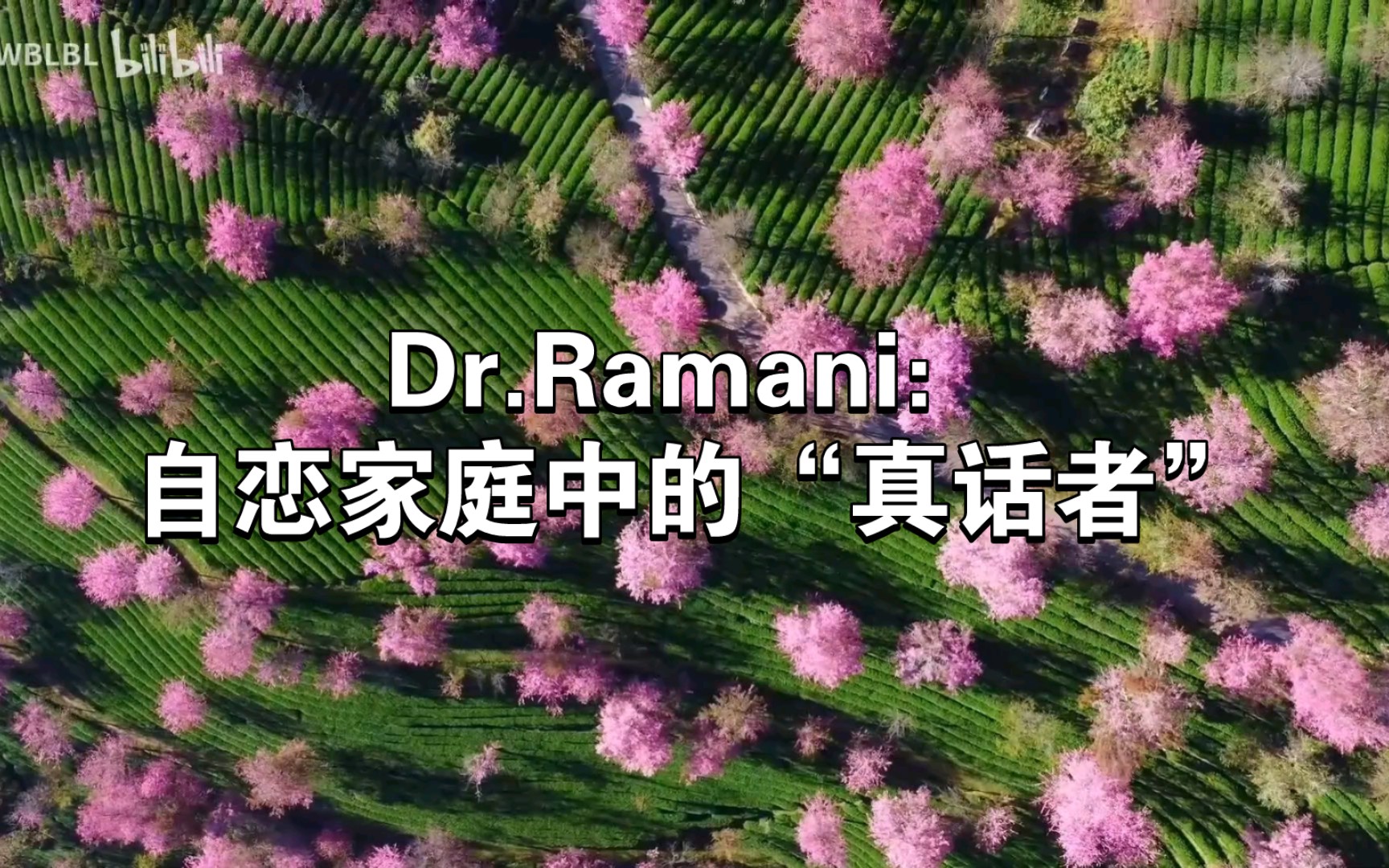 [图]Dr.Ramani：自恋家庭中的“真话者”