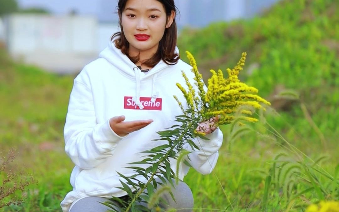 杭州滨江也发现了加拿大一枝黄花,它是霸道的入侵植物,认识它,清除它,保卫生态平衡.哔哩哔哩bilibili