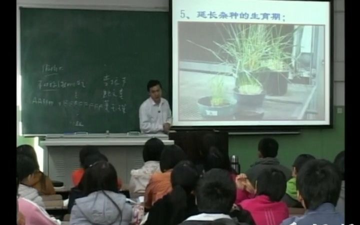 [图]植物育种学——第九章作物远缘杂交和倍性育种-杂种夭亡及其克服方法