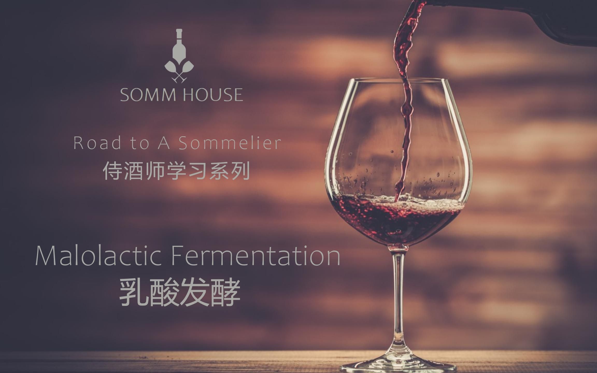 Somm House 侍酒师学习 乳酸发酵哔哩哔哩bilibili