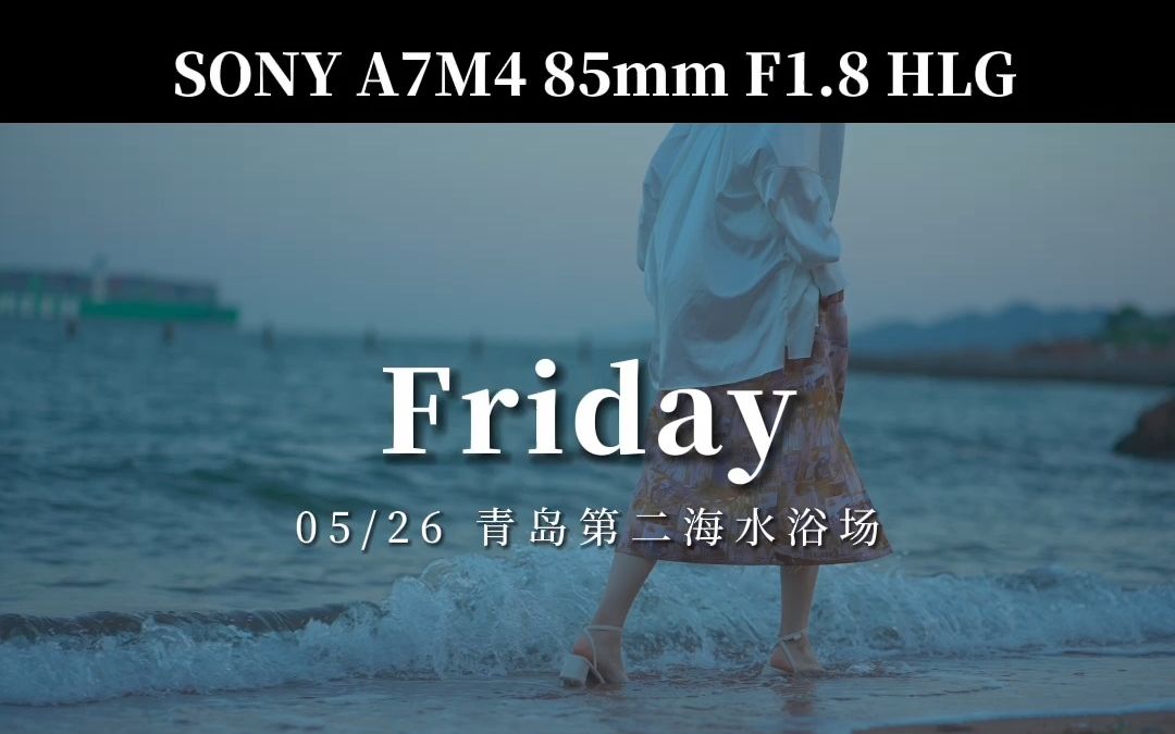 摄影练习|Day9 沙滩海鸥海浪和你 我也曾想与你一起看海 SONY A7M4哔哩哔哩bilibili