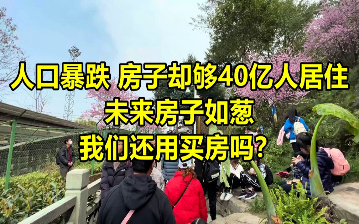 人口暴跌 房子却够40亿人居住 未来房子如葱 我们还用买房吗?哔哩哔哩bilibili