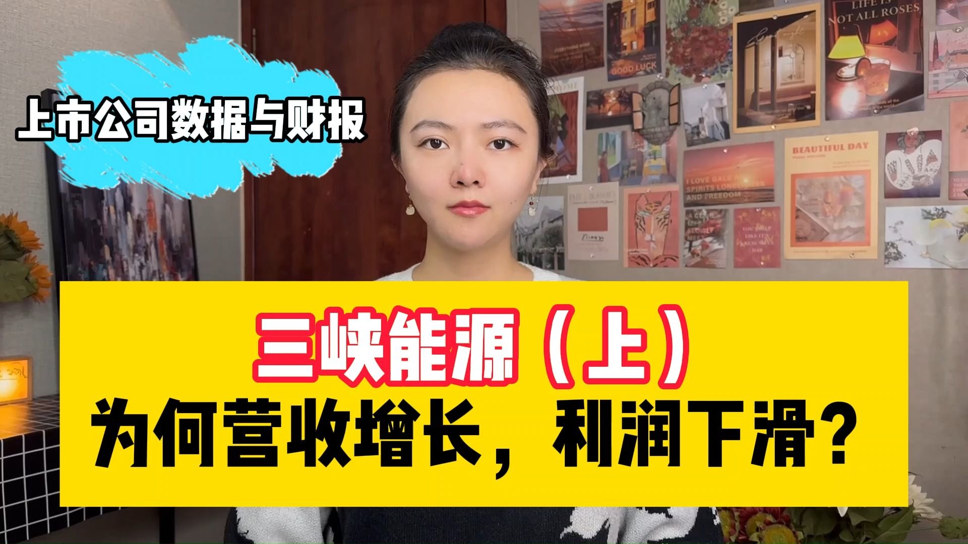 三峡能源(上):为何营收增长,利润下滑?哔哩哔哩bilibili