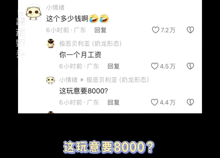 “我一个月工资”哔哩哔哩bilibili