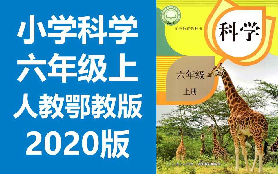 小学科学六年级科学上册 人教版 鄂教版 2020新版 小学科学6年级科学上册六年级上册6年级上册科学 人教鄂教版科学(教资考试)哔哩哔哩bilibili