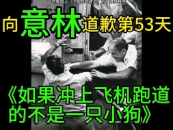 Download Video: 向意林道歉第53天如果冲上飞机跑道的不是一只小狗