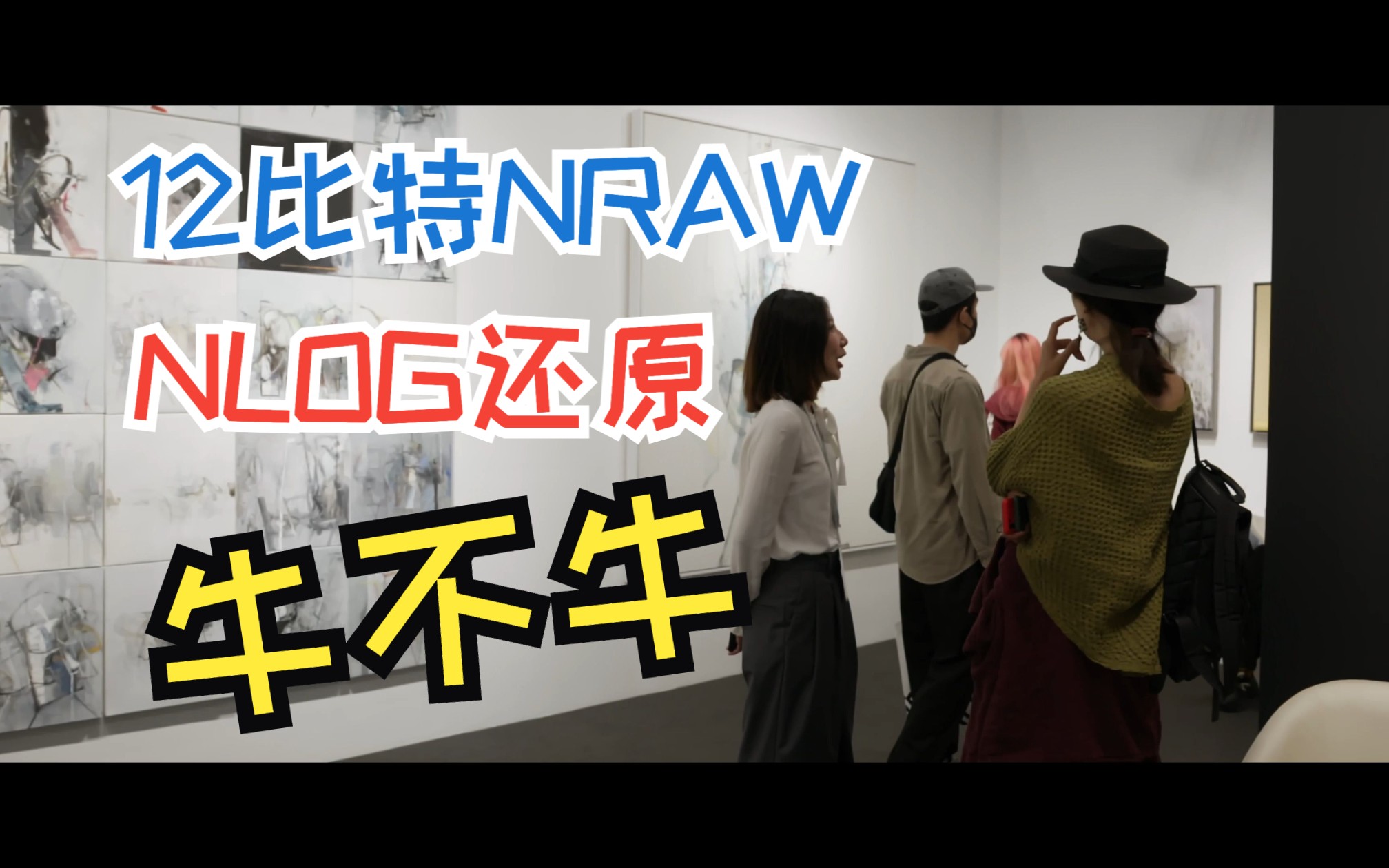 艺术北京掠影/Nikon Z9 RAW 4K120P Nlog色彩还原未调色哔哩哔哩bilibili