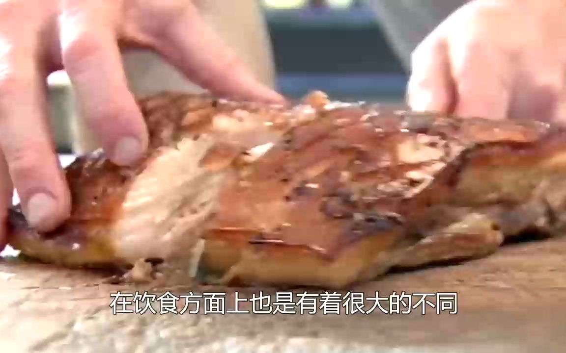 回族人为什么都不吃肉,经过了解后才得知,被骗了这么久哔哩哔哩bilibili