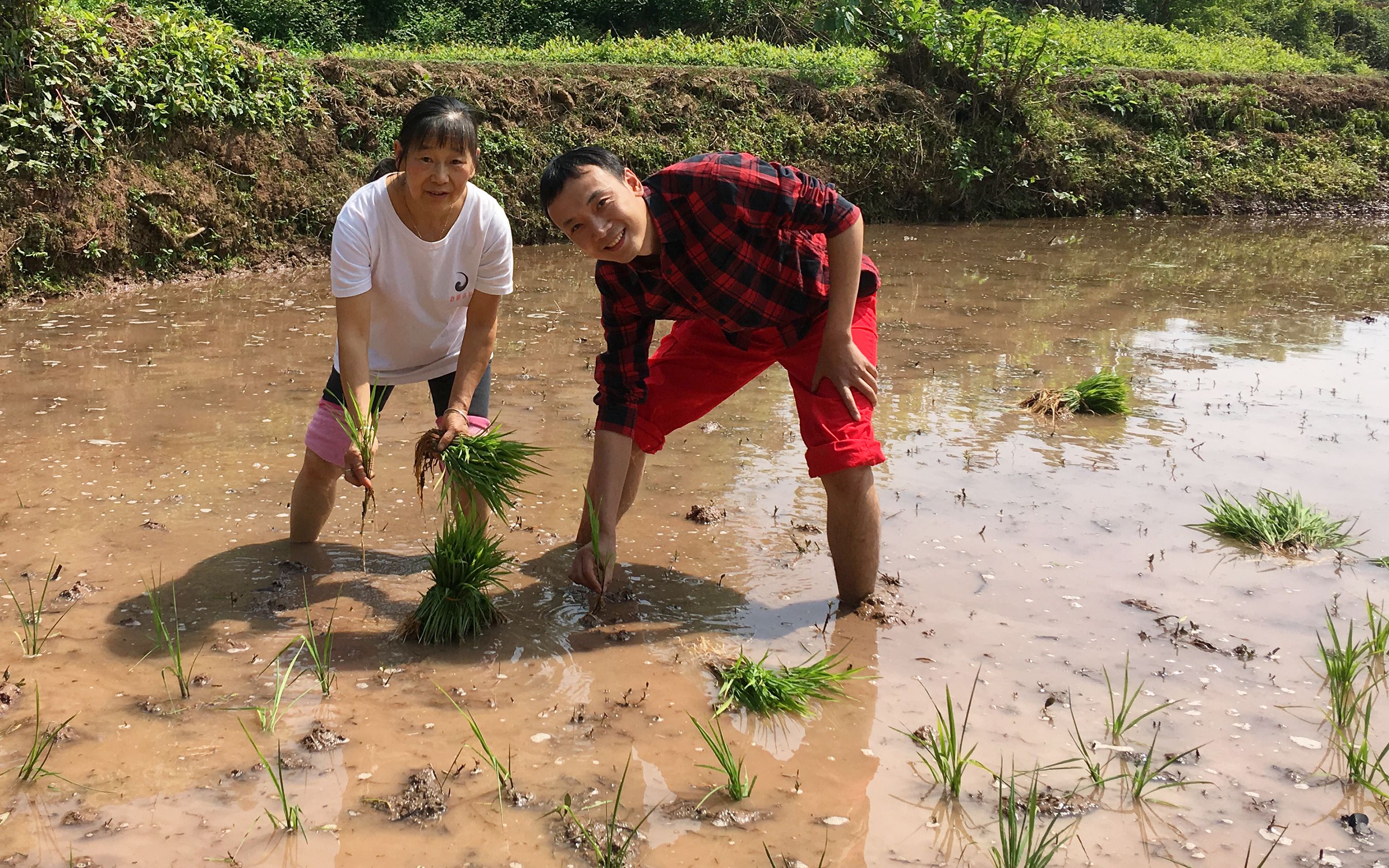 土帅去泸县石马乡头栽秧子,有点难嬢嬢教得不好,你猜我学会没有