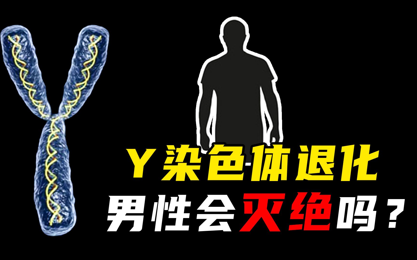 [图]Y染色体越来越短，男性会消失吗？人类终将进化？