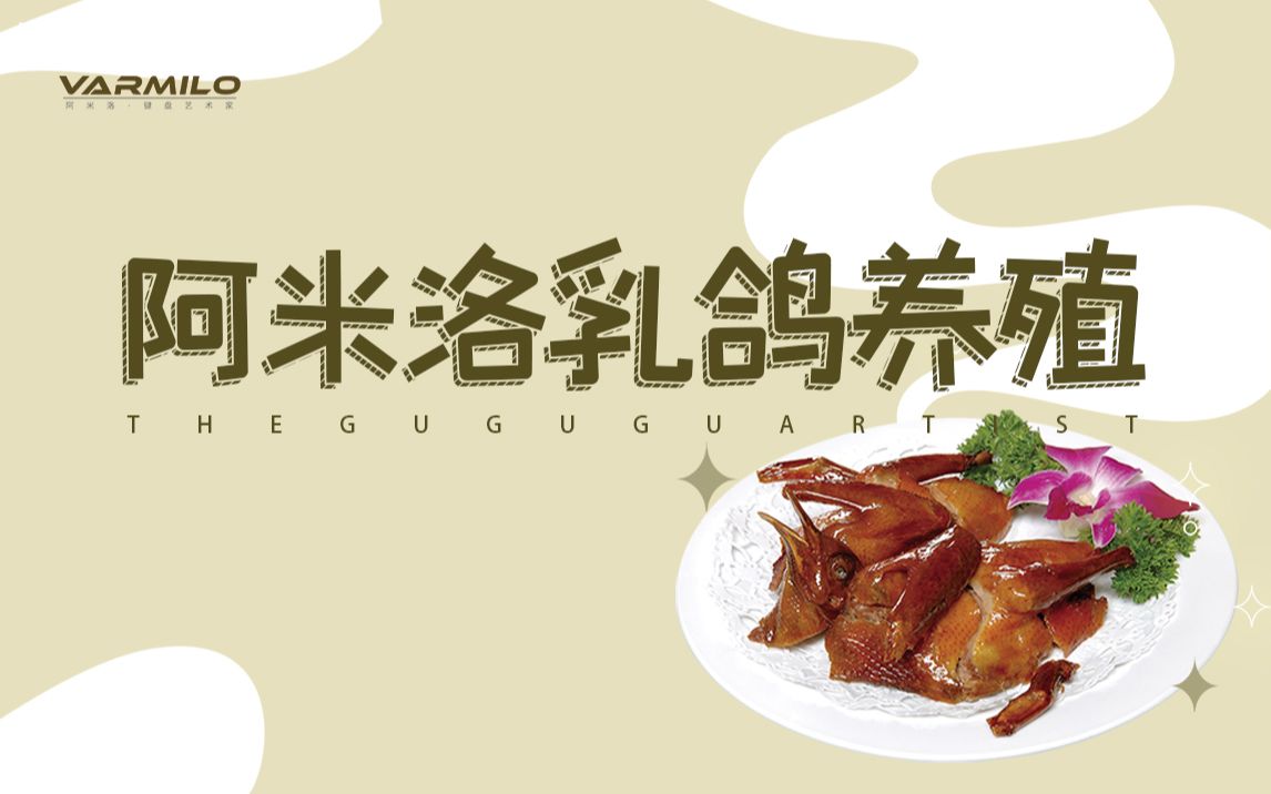 烤乳鸽艺术家,阿米洛宣布进军餐饮行业!哔哩哔哩bilibili