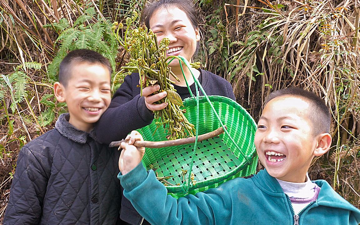 [图]带孩子去摘蕨菜，爬了4座山，却失望地回家