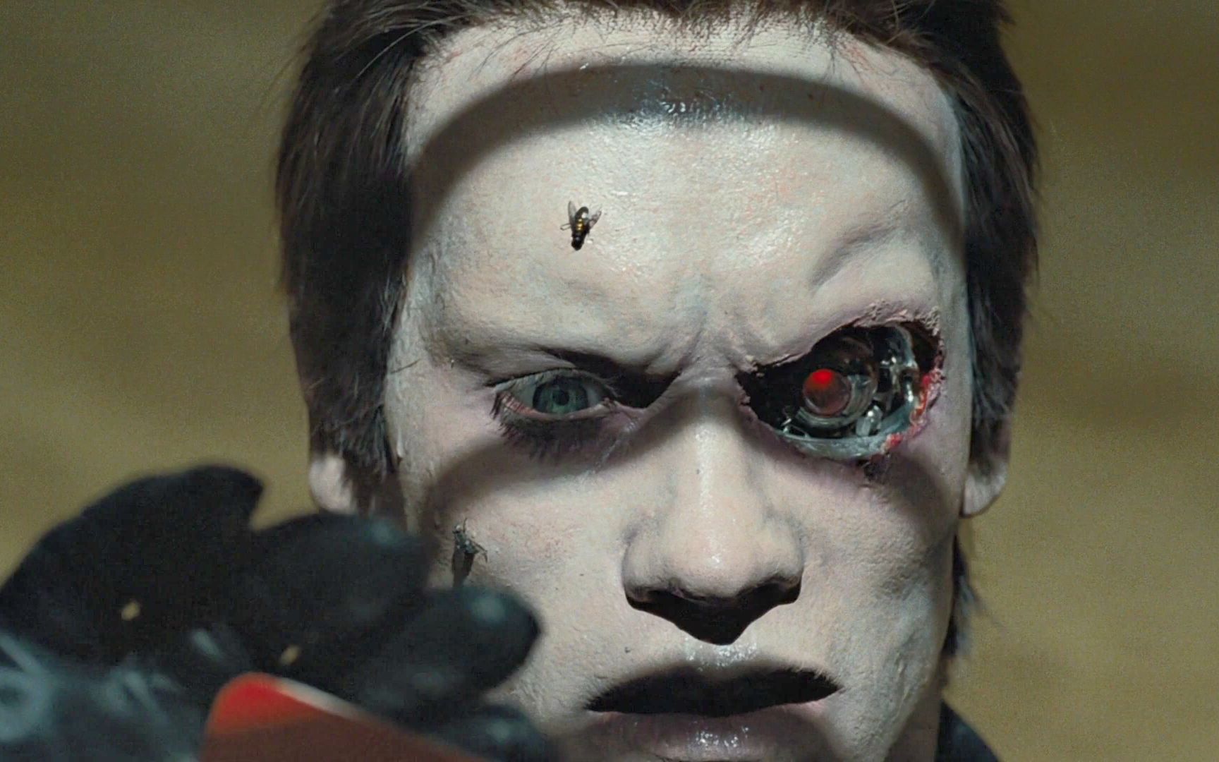 终结者1t800扫描莎拉记事本cut