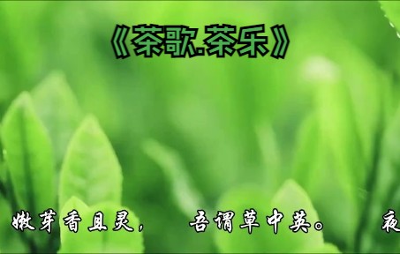 《茶歌》哔哩哔哩bilibili