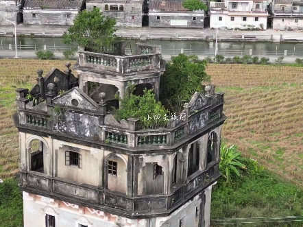 主人花一生心血建起的碉楼，可叹的是，在他病逝之后，他的后人陆续出国谋生，人去楼空之后再也没回来。#碉楼#开平#历史建筑海报