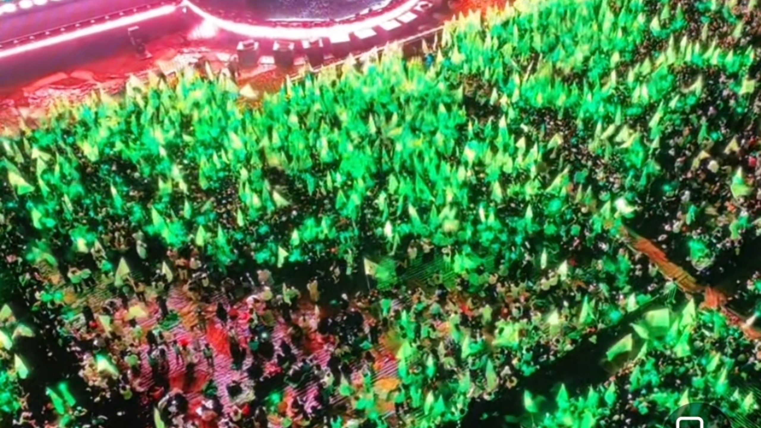 桃妹们的大旗绿海太壮观了  侯明昊10.4南京江豚音乐节
