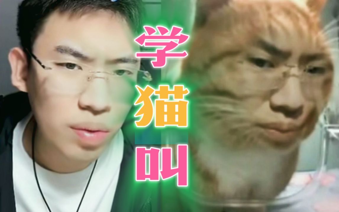 [图]⚡听 泉 学 猫 叫⚡