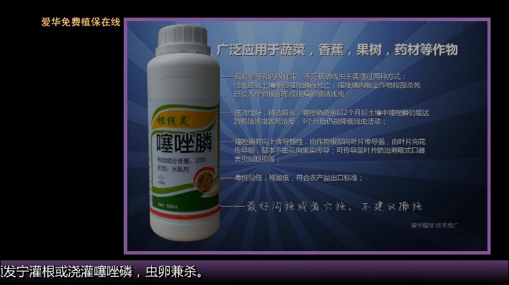 葡萄种植技术与管理——该如何养好葡萄的根系呢?葡萄根系不好怎么办?哔哩哔哩bilibili