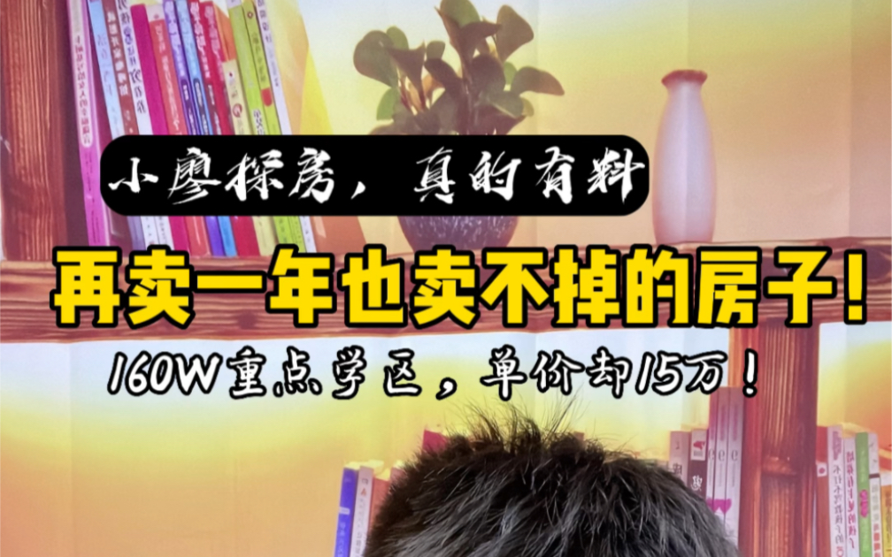 这房子再卖一年能卖掉嘛?总价160w,单价却15万一平!厨卫合用,谁能接盘?哔哩哔哩bilibili