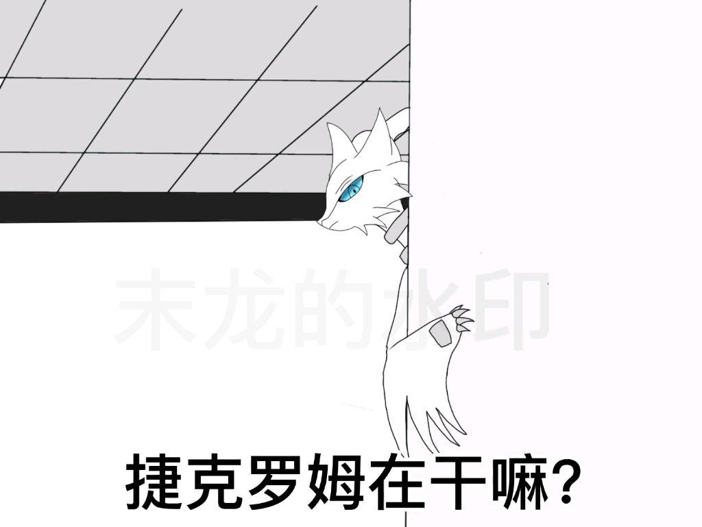 [图]【宝可梦 黑白龙】猜猜我是谁