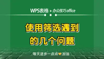 WPS表格中使用筛选遇到的几个问题