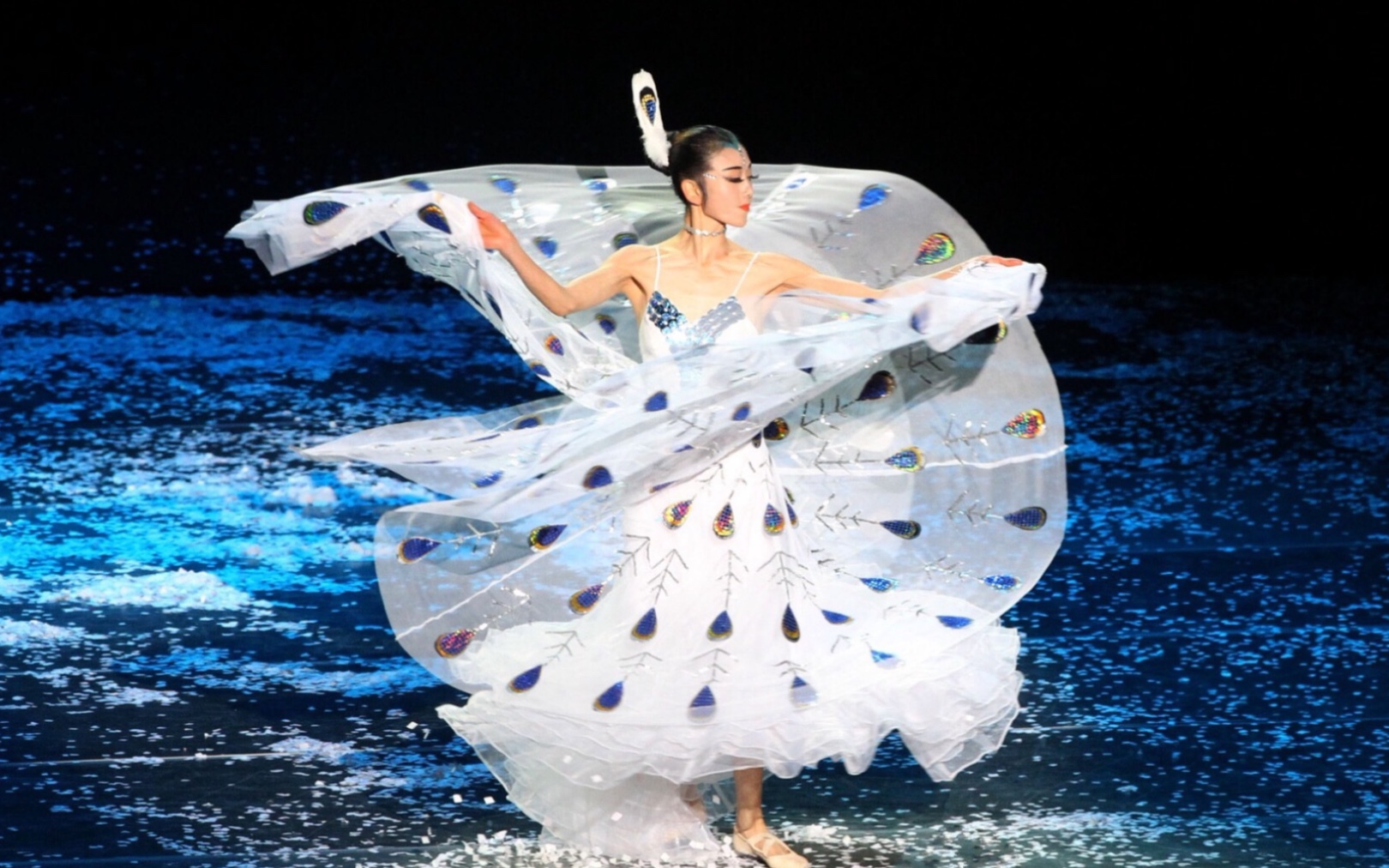 云南映象首演雀之灵杨丽萍独舞群舞