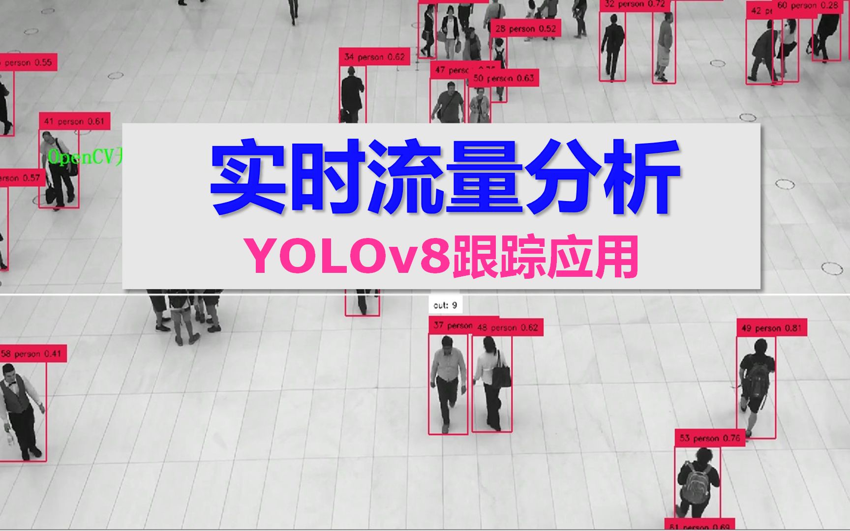 实时流量分析  YOLOv8跟踪应用哔哩哔哩bilibili