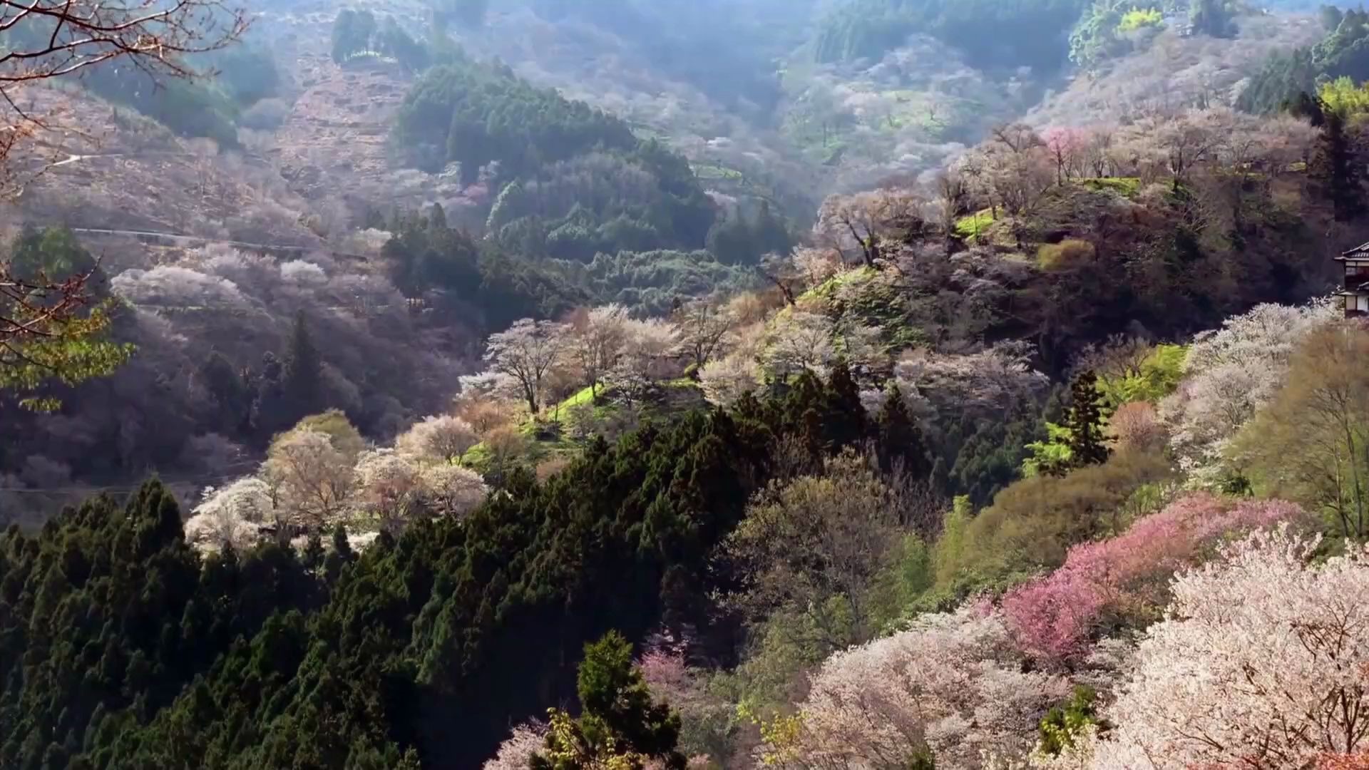 [图]7、歌曲《江山飞歌》背景