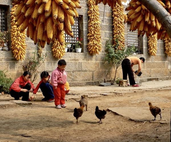 记录美好农村生活