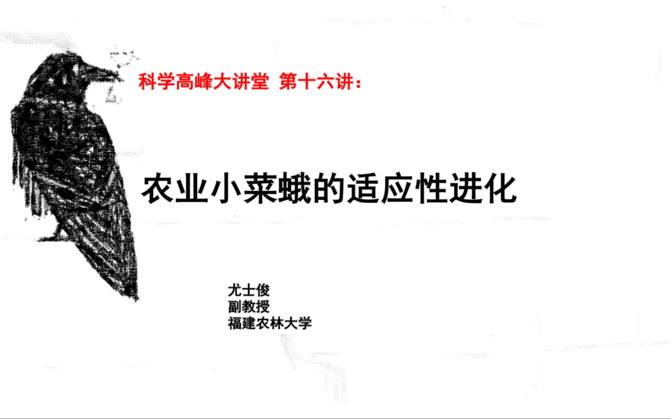 科学高峰大讲坛 第十六讲:农业小菜蛾的适应性进化哔哩哔哩bilibili