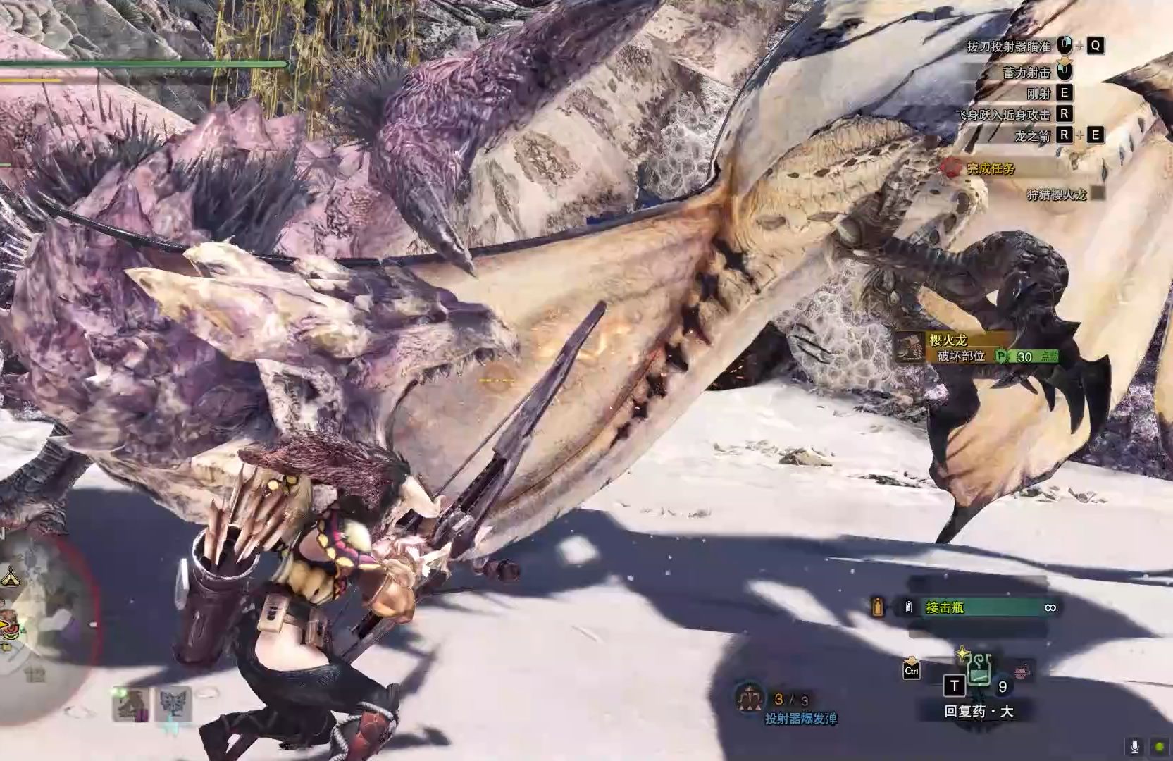 9:蛮颚龙.樱火龙