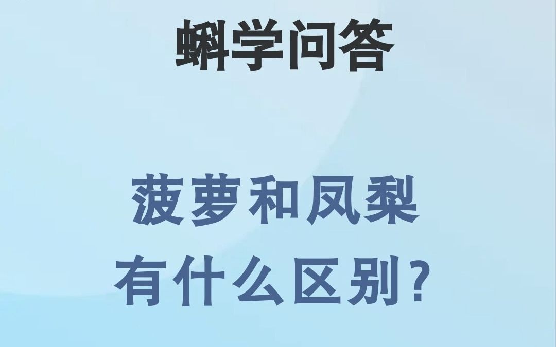 蝌学问答|菠萝和凤梨有什么区别?哔哩哔哩bilibili