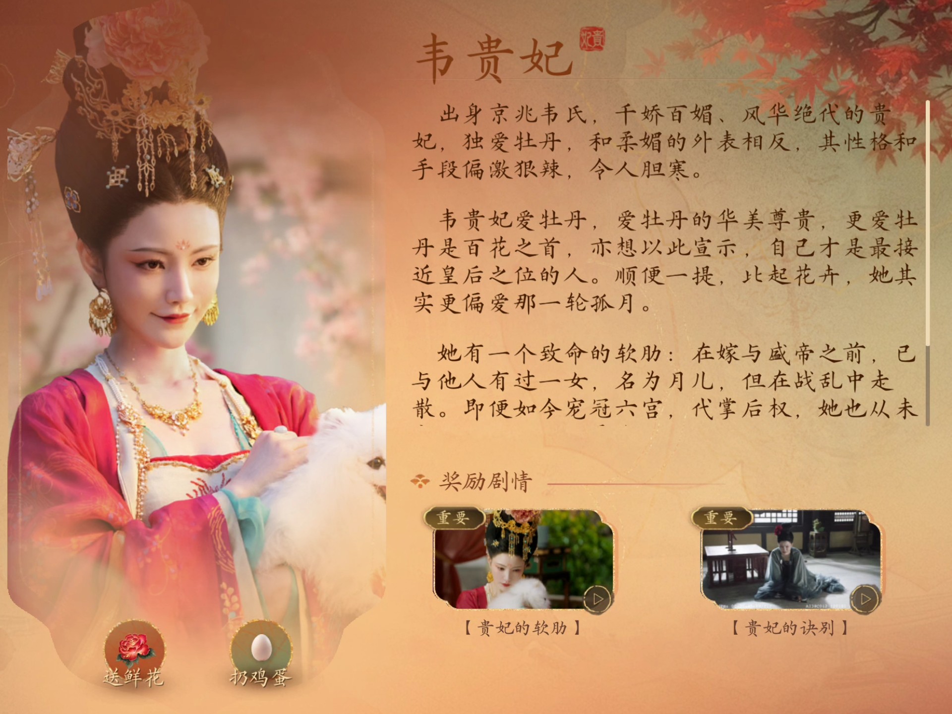 盛世天下——韦贵妃的视角