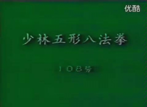 【传武:秦门武学】:秦庆丰老师演练《少林五形八法拳108势》哔哩哔哩bilibili