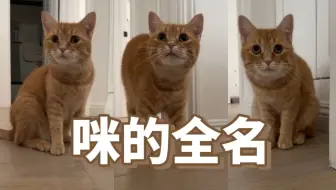 “妈你有事儿就说事儿呗，干嘛突然叫咪的全名？”