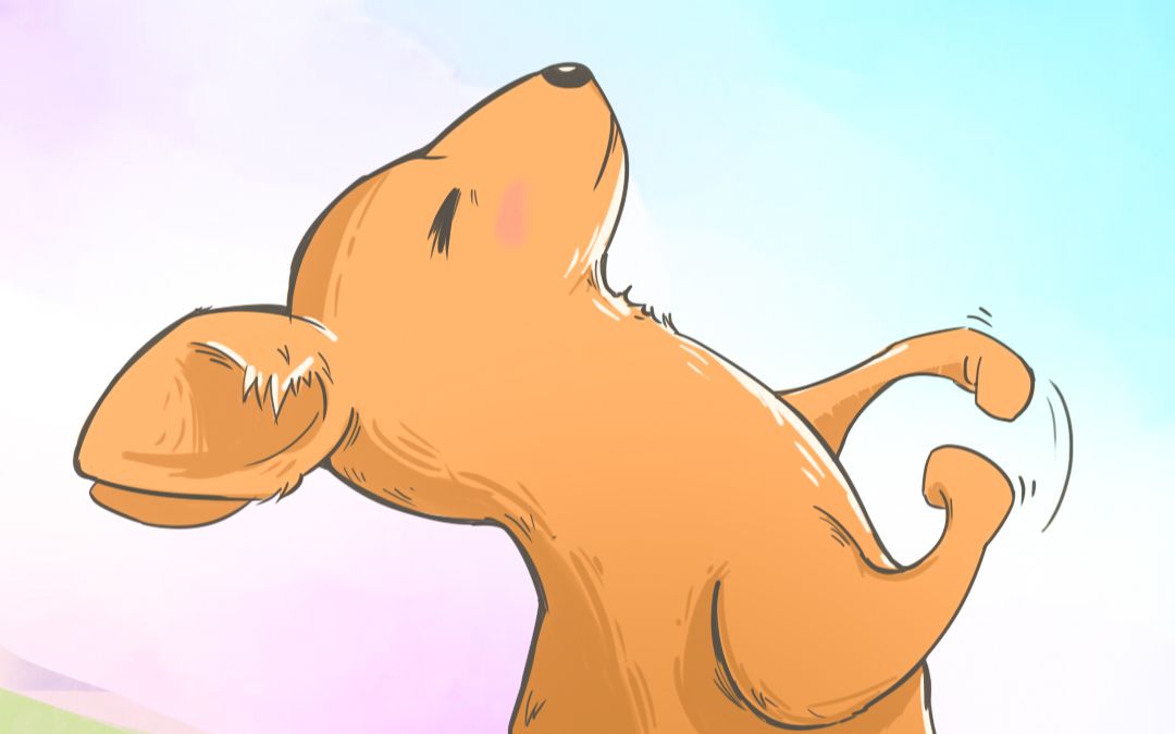 袋鼠摇手,太治愈了