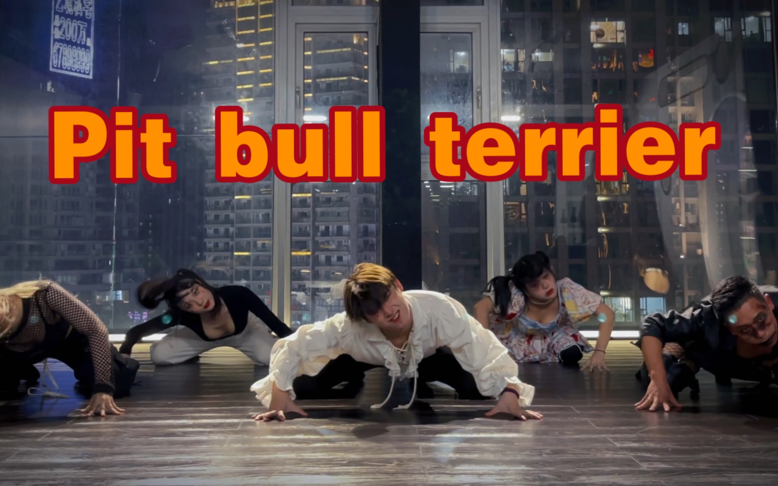 万圣节特辑-不给糖果就捣蛋《pitbull terrier》#lico编舞