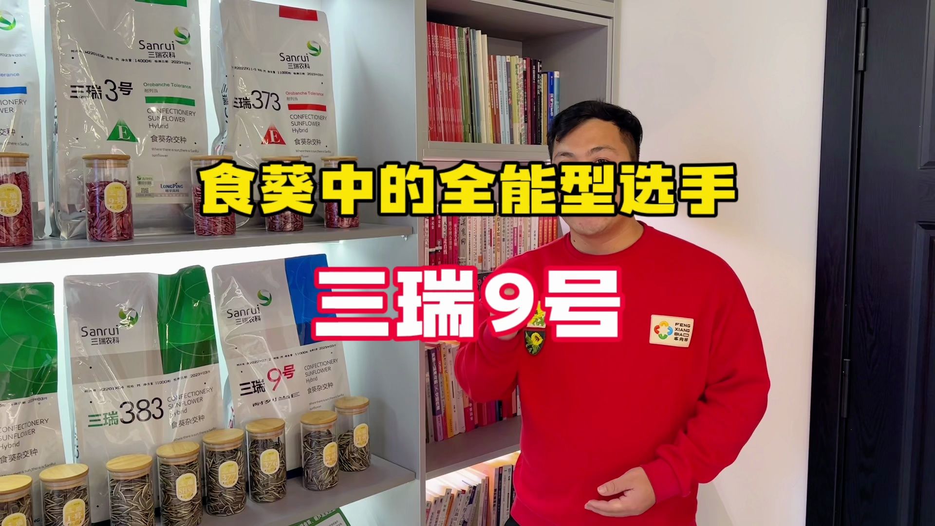 食葵中的全能型选手——三瑞9号