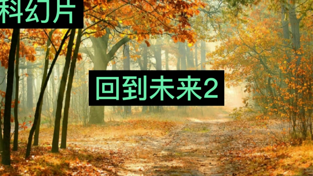 [图]科幻片《回到未来2》