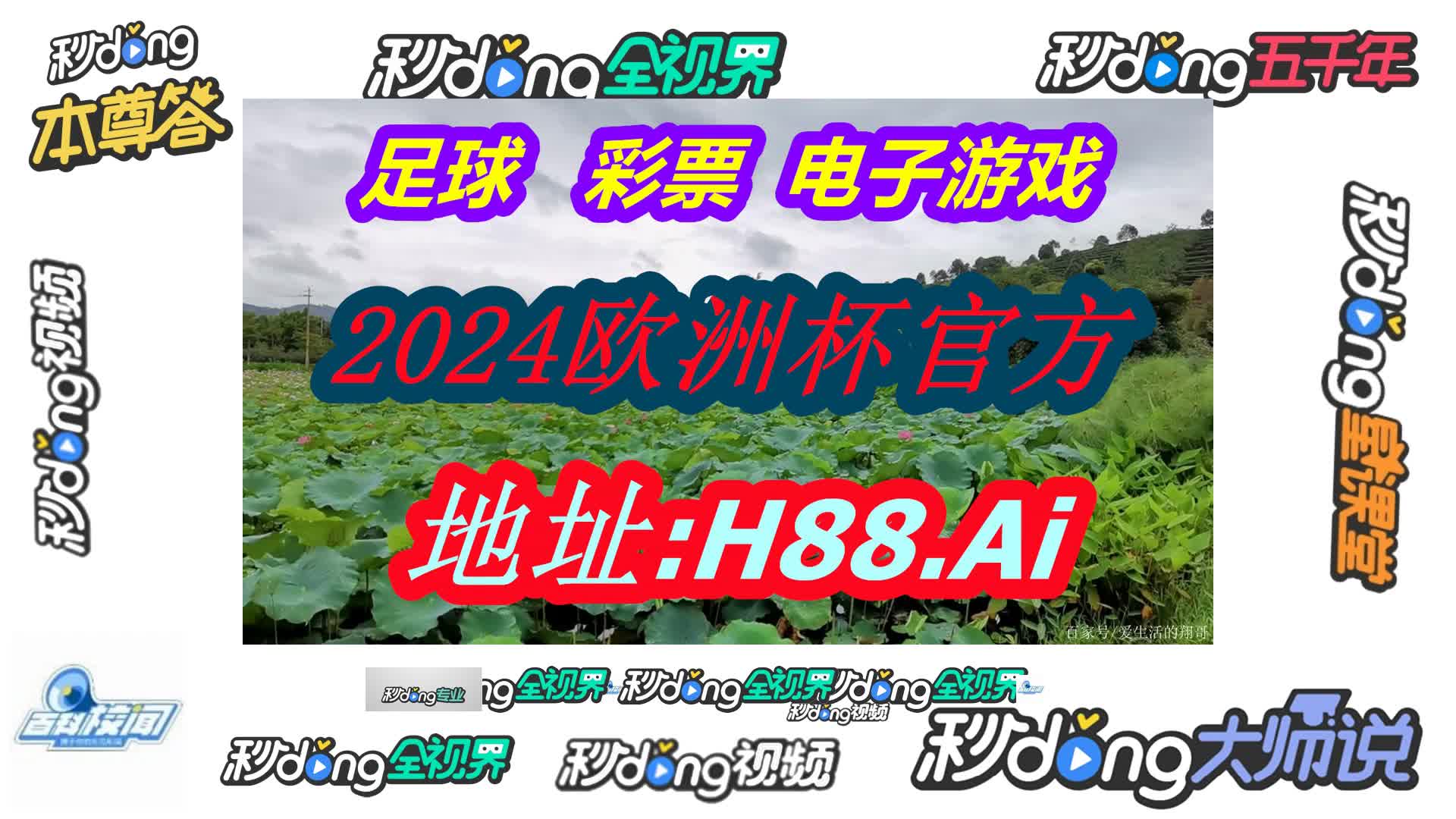 竞彩网中国体育彩 票竞猜官方(哔哩哔哩)521期